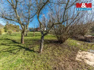 Prodej zahrady, Kosmonosy, 466 m2