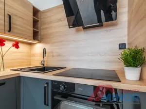 Pronájem bytu 2+kk, Slaný, Bezručova, 33 m2