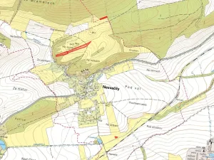 Prodej louky, Nesvačily, 9239 m2