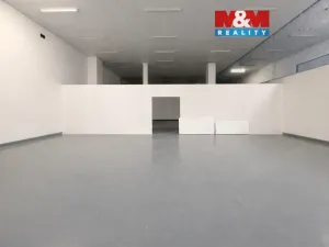 Pronájem skladu, Praha - Strašnice, K Červenému dvoru, 42 m2