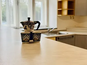 Prodej bytu 3+kk, Nový Jičín, Smetanovy sady, 82 m2