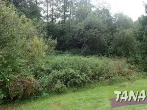 Prodej podílu pozemku pro bydlení, Mladějov, 382 m2