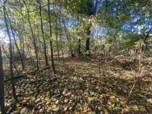 Prodej pozemku, Zdislava, 1043 m2