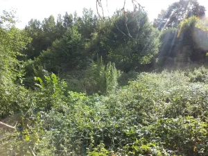 Prodej pole, Malé Březno, 14517 m2