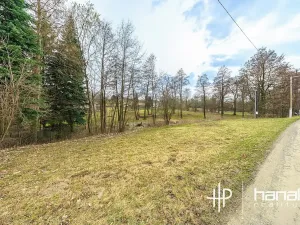 Prodej pozemku pro bydlení, Rudná pod Pradědem, 1019 m2