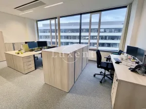 Pronájem kanceláře, Brno, Nové sady, 150 m2
