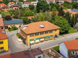 Pronájem obchodního prostoru, Topolná, 266 m2