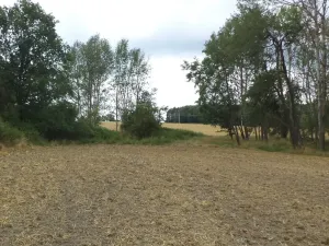 Dražba pozemku pro bydlení, Heřmanova Huť, 1100 m2