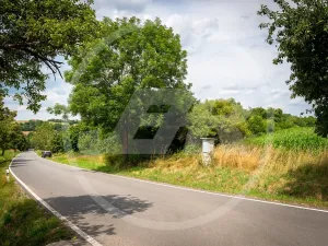 Prodej zahrady, Divišov, Vlašimská, 3569 m2