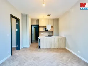 Pronájem bytu 2+kk, Opava - Předměstí, Riegrova, 56 m2