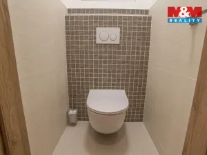 Prodej bytu 3+kk, Havířov - Podlesí, Družstevnická, 63 m2