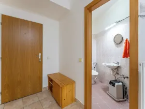 Prodej bytu 4+kk, Brno, 167 m2