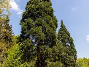 Pronájem kanceláře, Praha - Chodov, Tomíčkova, 5000 m2