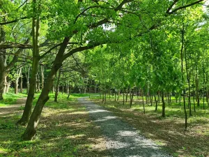Pronájem kanceláře, Praha - Chodov, Tomíčkova, 1500 m2