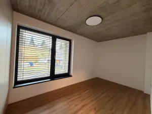 Pronájem bytu 3+kk, Mladá Boleslav - Čejetice, Koněvova, 71 m2