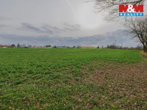 Prodej pozemku pro bydlení, Dobřany, 6134 m2