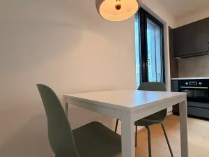 Pronájem bytu 1+kk, Praha - Strašnice, Michelangelova, 37 m2