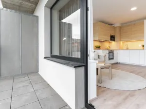 Pronájem bytu 1+kk, Brno - Zábrdovice, Spolková, 38 m2