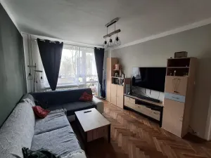 Prodej bytu 3+1, Cheb, Americká, 61 m2