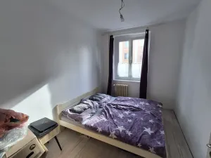 Prodej bytu 3+1, Cheb, Americká, 61 m2