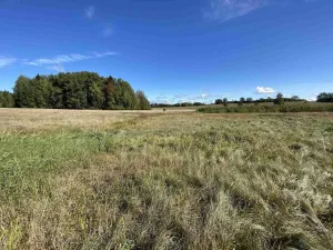 Prodej pole, Nový Rychnov - Čejkov, 4706 m2