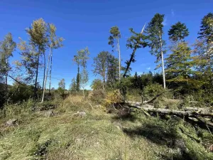 Prodej pole, Nový Rychnov - Čejkov, 4706 m2