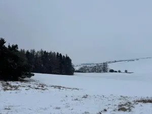 Prodej lesa, Prokopov, 2228 m2