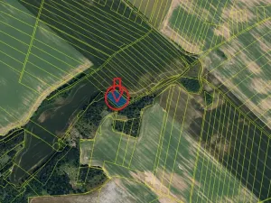 Prodej lesa, Prokopov, 2228 m2