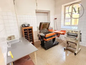 Prodej rodinného domu, Netolice, Bavorovská, 340 m2