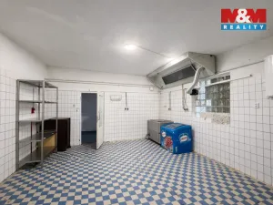 Pronájem komerční nemovitosti, Ostrava, Těšínská, 140 m2