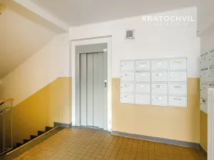 Pronájem bytu 2+kk, Praha - Vinohrady, Vinohradská, 51 m2
