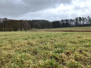 Prodej zemědělského objektu, Dolní Město, 124655 m2