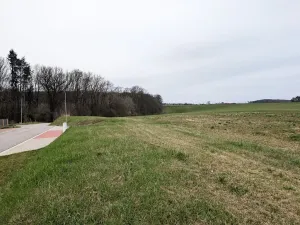 Prodej pozemku pro bydlení, Hořiněves, 987 m2