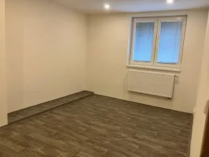 Pronájem bytu 1+1, Děčín, Kamenická, 38 m2