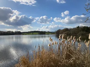 Prodej rodinného domu, Kotenčice, 342 m2