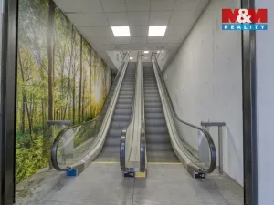 Pronájem obchodního prostoru, Plzeň - Východní Předměstí, Americká, 1603 m2