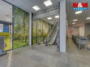 Pronájem obchodního prostoru, Plzeň - Východní Předměstí, Americká, 1603 m2