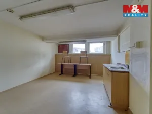 Pronájem obchodního prostoru, Plzeň - Východní Předměstí, Americká, 1603 m2