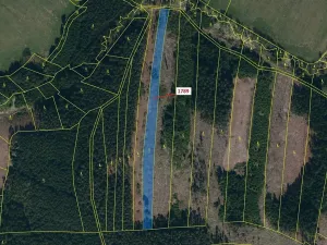 Dražba lesa, Žirovnice, 5036 m2