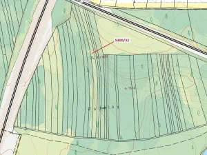 Dražba lesa, Bzenec, 4949 m2