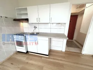 Prodej bytu 1+1, Plzeň, Nade Mží, 35 m2