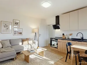 Pronájem bytu 2+kk, Orlová, V Zimném dole, 40 m2