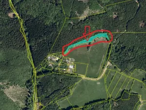 Prodej lesa, Vlčková, 3331 m2