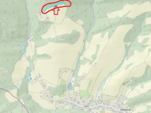 Prodej lesa, Vlčková, 3331 m2