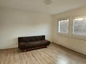 Pronájem bytu 1+1, Boskovice, Vodní, 40 m2