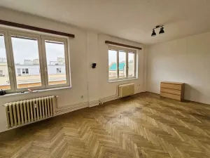 Prodej bytu 1+1, Praha - Vinohrady, Písecká, 52 m2
