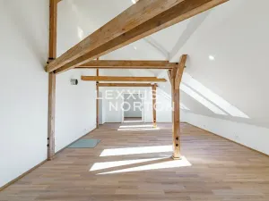 Prodej bytu 5+1, Praha - Dejvice, Buzulucká, 240 m2