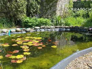 Prodej zemědělského objektu, Úmyslovice, 400 m2