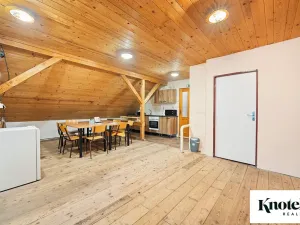 Pronájem výrobních prostor, Račice-Pístovice, 479 m2