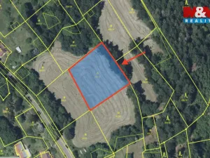 Prodej louky, Tanvald - Šumburk nad Desnou, 2029 m2